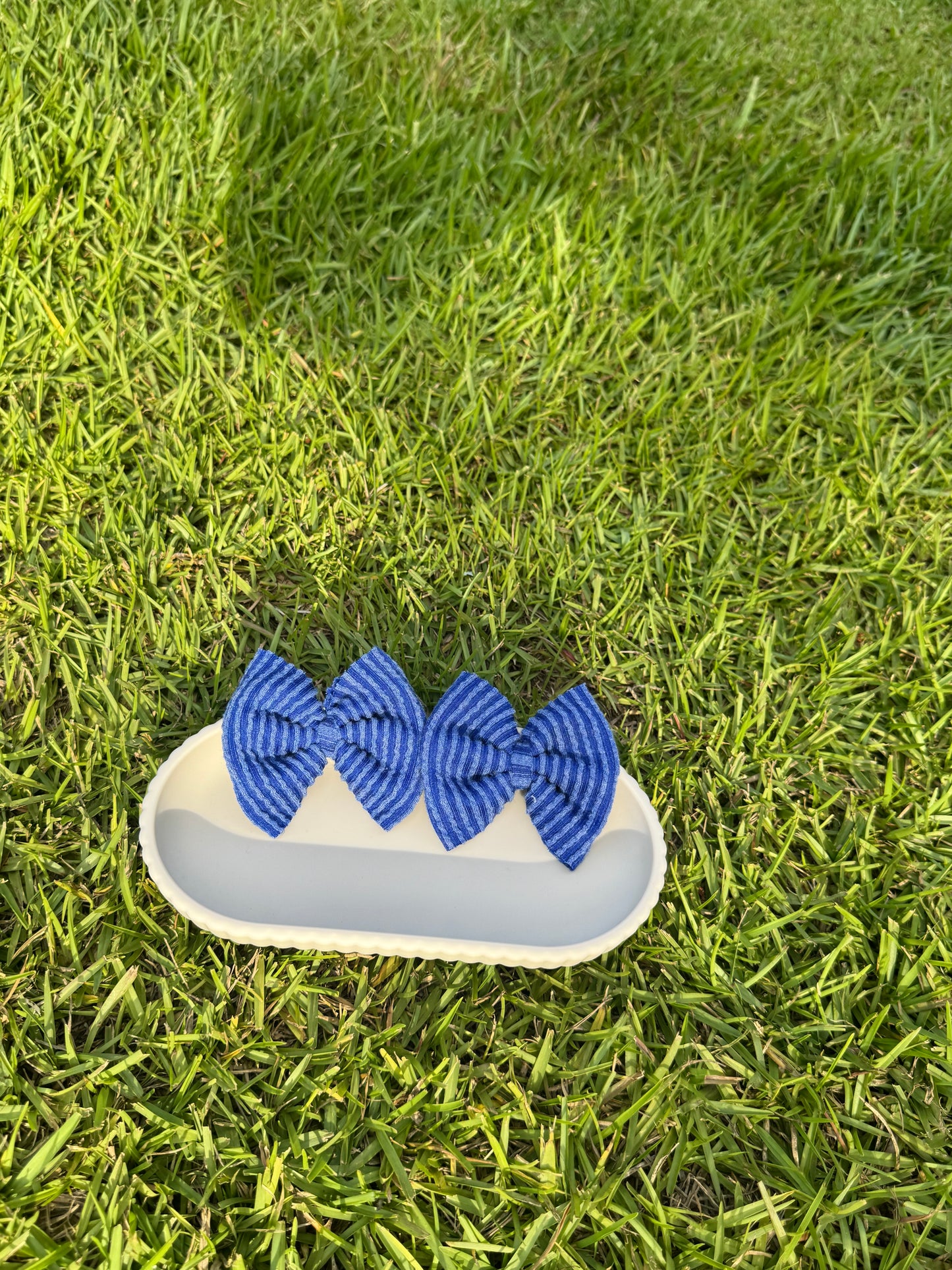 Blue Ribbed - Piggies